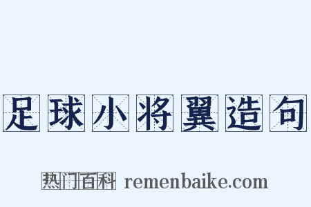 足球小将翼造句是什么意思的图片